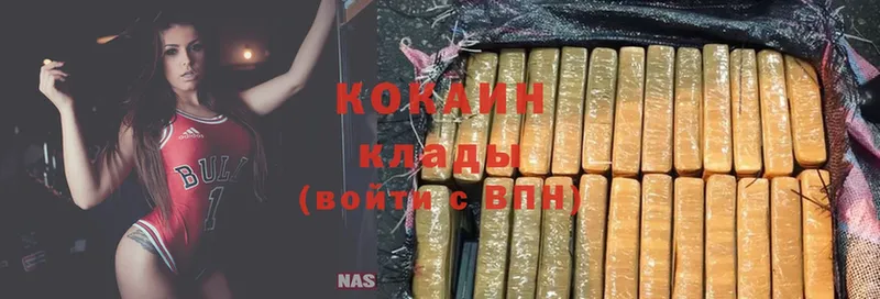 Кокаин Fish Scale  купить закладку  Югорск 