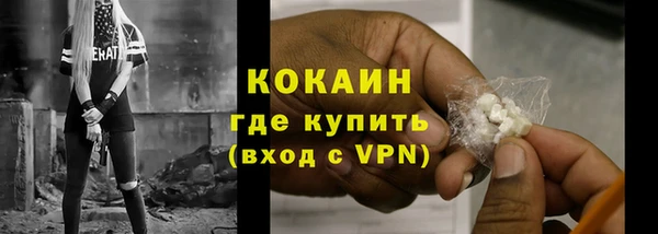 сатива Новозыбков