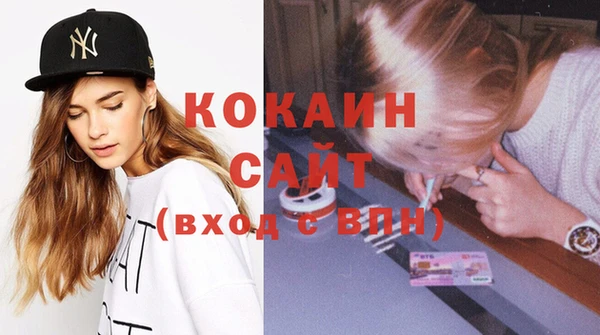 сатива Новозыбков