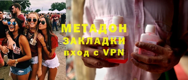 сатива Новозыбков
