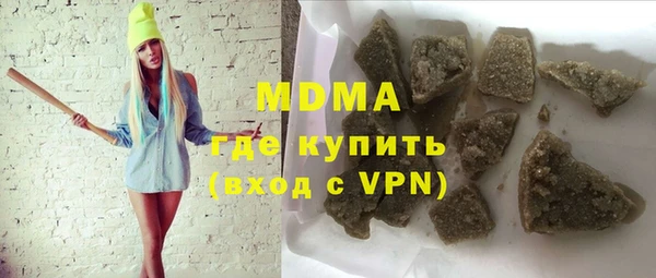 сатива Новозыбков