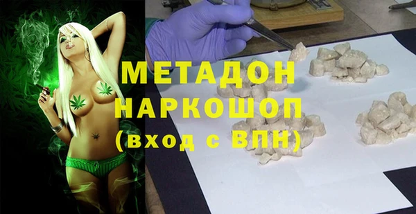 сатива Новозыбков