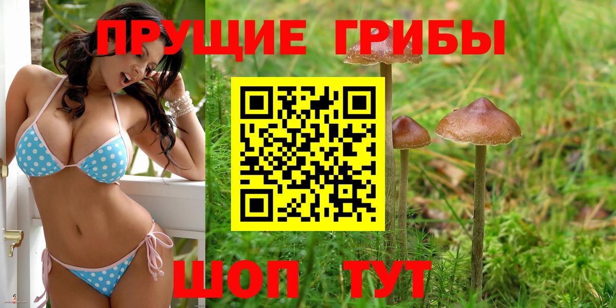 Псилоцибиновые грибы Psilocybine cubensis Югорск
