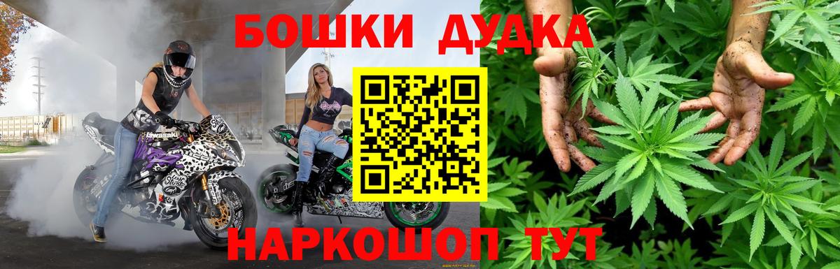 Канабис планчик Югорск